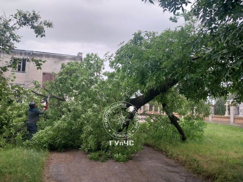 А в Слободзее на улице Пушкина возле церкви Успения Пресвятой Богородицы порывы ветра повалили дерево на проезжую часть