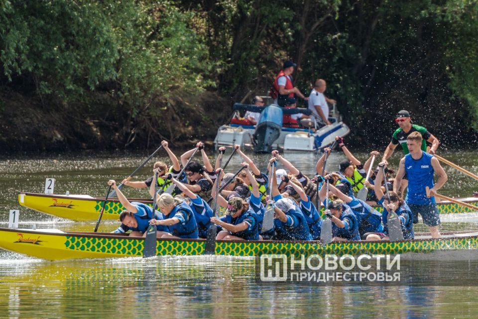 Наш фоторепортаж с V регаты «Семья Президента за ЗОЖ» Наш фоторепортаж с V регаты «Семья Президента за ЗОЖ»