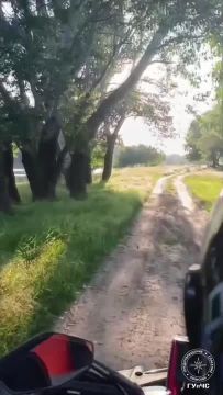 Краткий обзор прошедших выходных и главных новостей дня— в одном видео