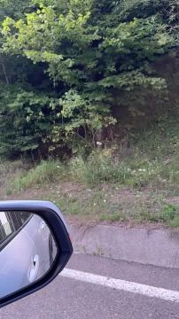 ������� ������ �� ��� �������� �� ���������������� ����� � �������