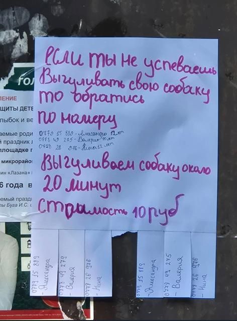 Самый трогательный стартап на районе!