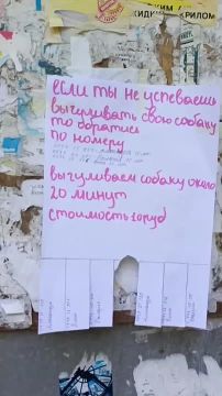 Пятиклашки Лера, Нина и Саша предлагают выгуливать собак за 10 рублей тем, у кого нет времени