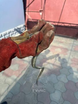 � � ������ ��������� ��������� �������� ������� �� ���������� ����� � � ��� �������� ����