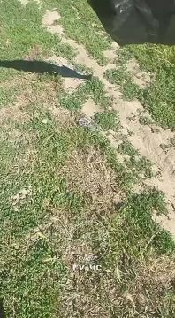 ����������� ������. ��������� ��������� �������� ������� ������ �� ����, ������� ������� � ���