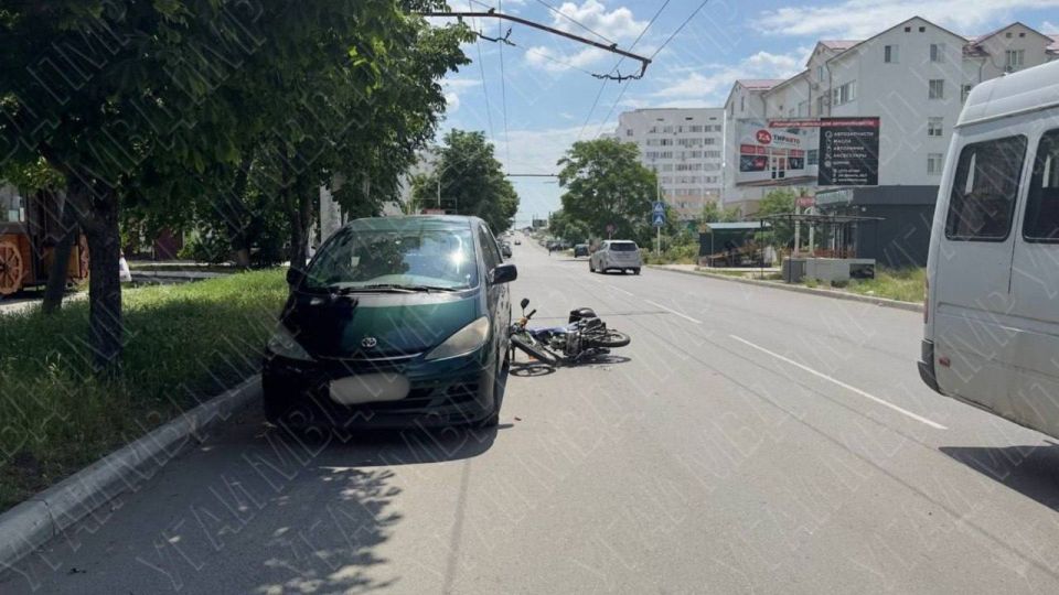 Собака преградила дорогу мопедисту