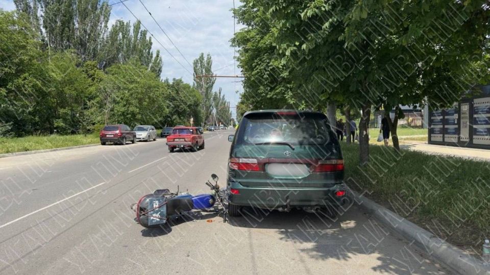 Собака преградила дорогу мопедисту Собака преградила дорогу мопедисту