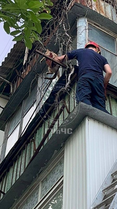 Столичные спасатели помогли пенсионеру Столичные спасатели помогли пенсионеру