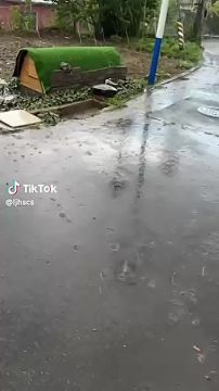 До +25 градусов и дождь с грозой обещают синоптики завтра, и такой температура будет до следующей недели