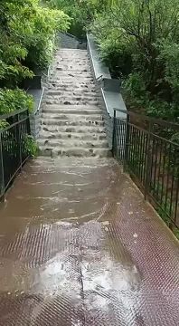 ������� ������ ������� ������