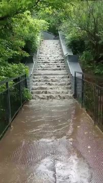������� ������ ������� ������