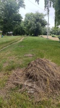 �� ����� � ���������� � ���� ������� �����