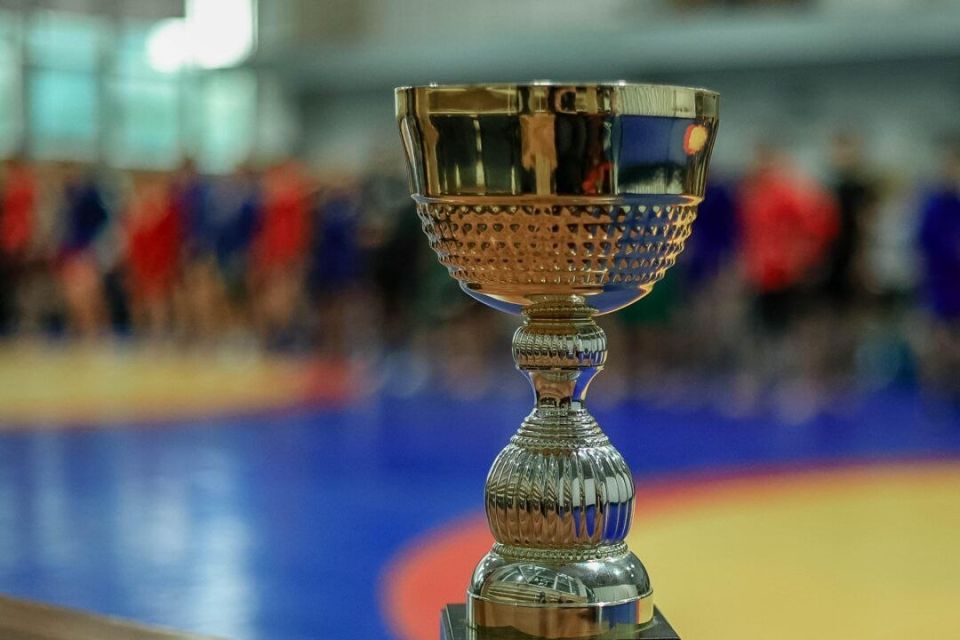Самбисты сразились за Кубок министра обороны