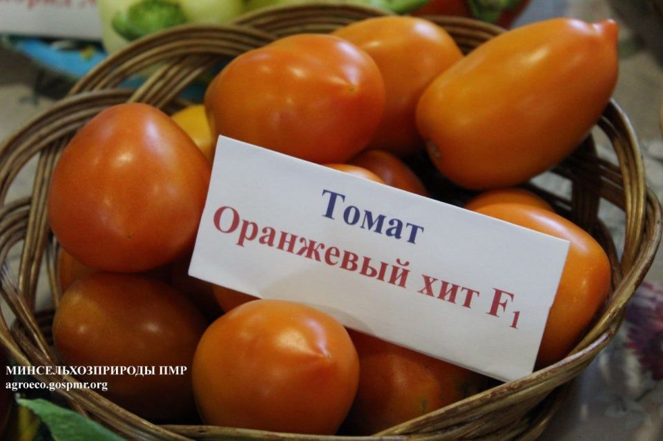 В 1959 году на территории института был заложен дендрарий В 1959 году на территории института был заложен дендрарий