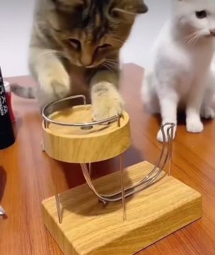 ������ ��������� � ��� ����