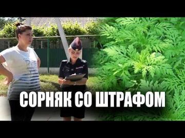 � ���� � ������� �����, �� ���� � ���� �� ����� ������� ����������