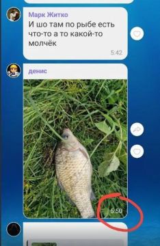 Первое фото рыбы, пойманной после снятия запрета, опубликовано в 5:50 утра