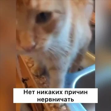 ����� ��������� ���: ���� �� �������� ������� ������� �������