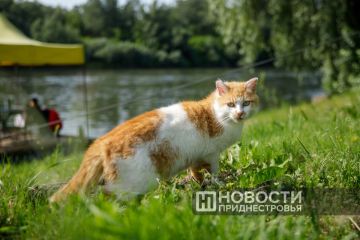 ����� � ��������������� ����� ���� ������������� �� ��������� ������