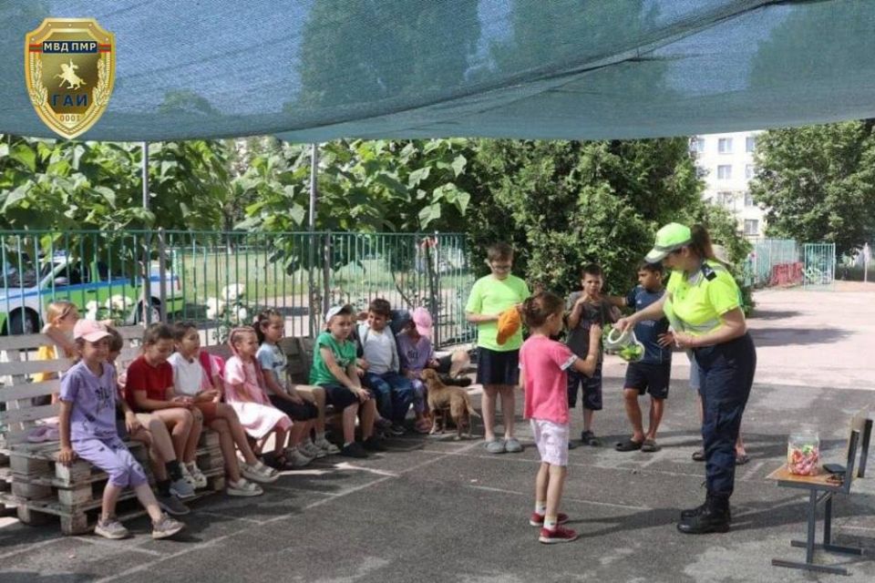 Знают правила дорожного движения Знают правила дорожного движения