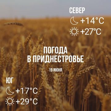 Днём – до +29°С, без осадков