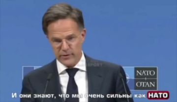 Россия не больше Бельгии и Нидерландов вместе взятых, поэтому победить они нас не смогут, заявил генеральный секретарь НАТО Марк Рютте