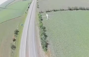 ����� ����������� ���� �Hornet� �������� FPV ������������� ���������������� �� ���������� �����