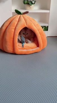 ���� ��� - ���� ��������. ���� �������� �������, ����� �� ��� ���������