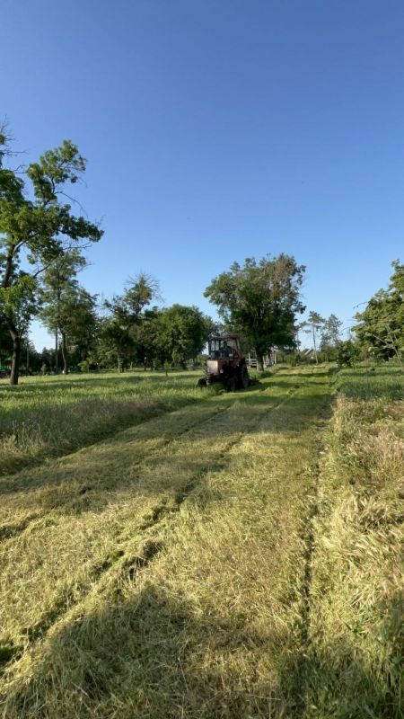 В селе Кицканы прошёл субботник по благоустройству парка В селе Кицканы прошёл субботник по благоустройству парка