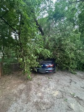 � ��������� ������ ��������� �������������