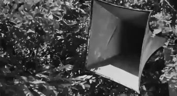 ������ ���� �����.... 85 ��� �����, 22 ���� 1941 ����, �������-���������� ������ ��������� ������ ������ � ����, ����� ������� ������������� �����. ��� �������� ����� ���� ����������� ������ � ���, ������������ ������ �...