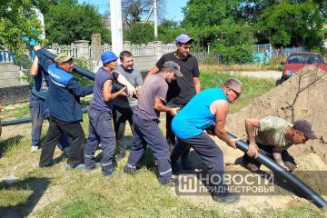 � ���������� ������ ����� 80 ������ ����������� ����� ������