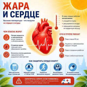 Жара и сердце: как высокая температура влияет на сердечно-сосудистую систему
