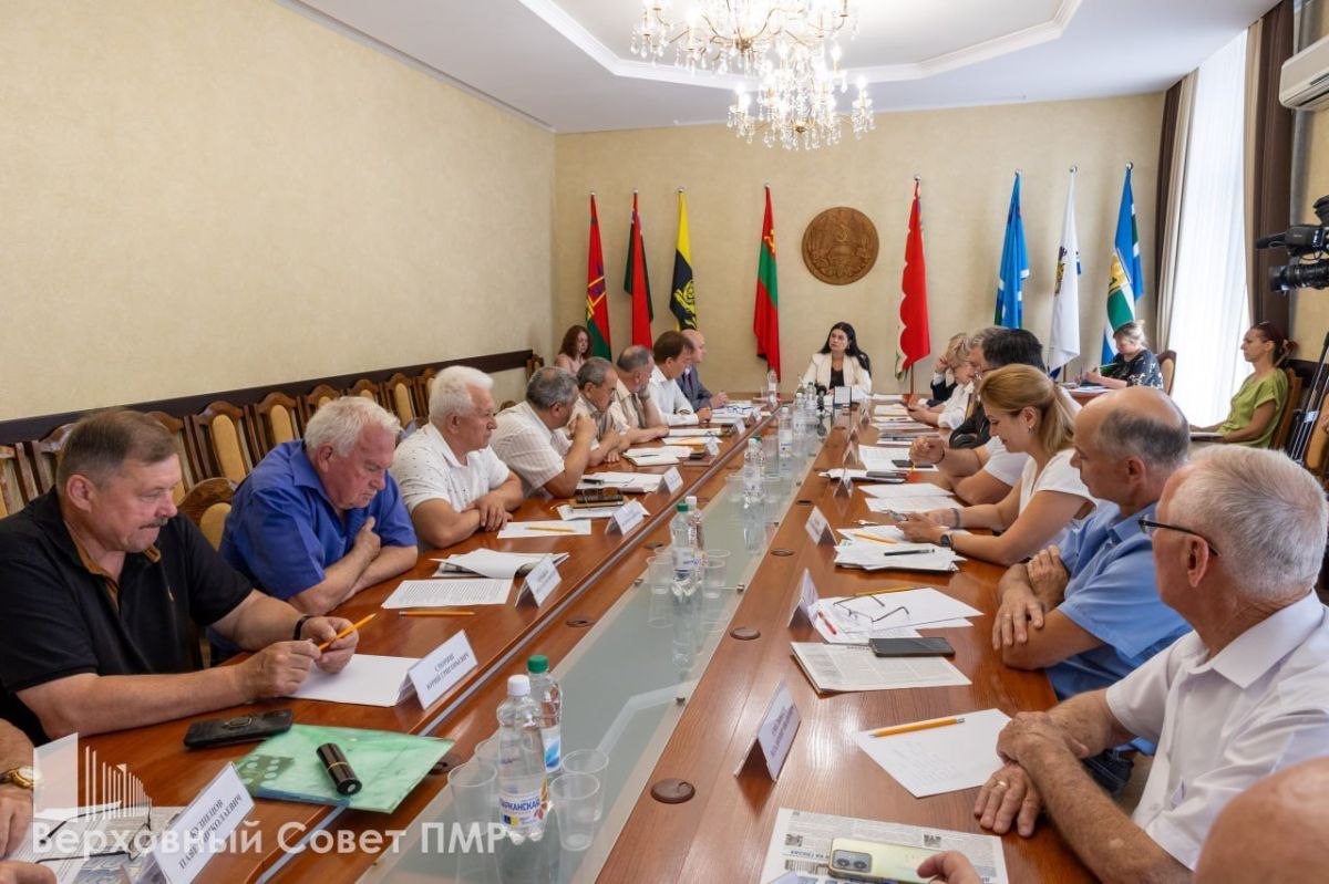 В парламенте обсудили сразу несколько важных тем с участием Общественной палаты: