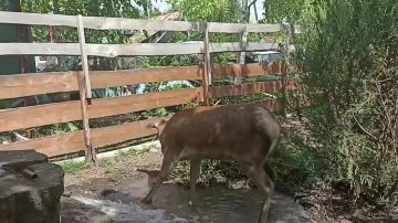�������� � ������������ ������ ��������� ������� ������ ������ ���� � �������� �������� � ���� ������ �����, ��� �� ����