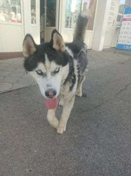 � ��������� � ������ ������� ���� ������ �������� ���� �������