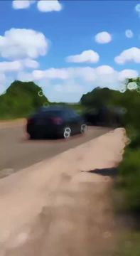 � ������������� ������ ����� ������������ ������� ������ ������� �����������