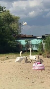 ��������-������ ����� ����� ����� �� ������� � ������������ ����� ��������� � ������