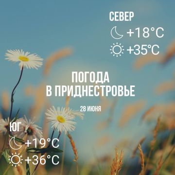 ���� � �� +36��, ��� �������