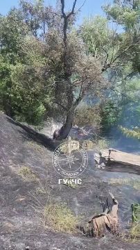 �������� �� ����� ������� ����� ����� � ���������� �������� ���������� ���������� ���� �������