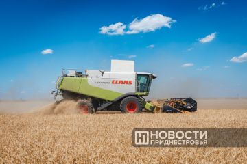 � ������������� �������� ������ �������� � ������������ �������
