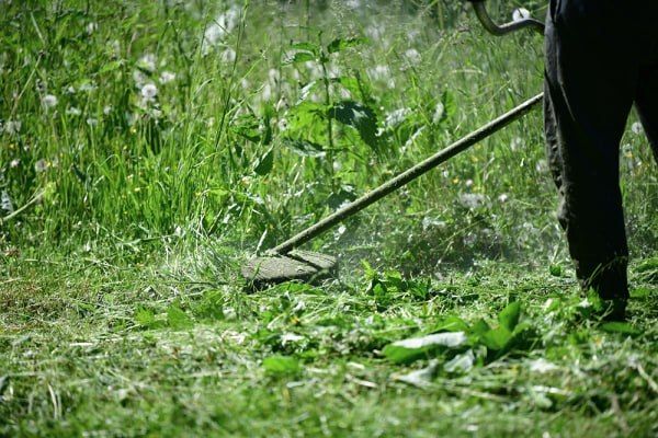 До 10 июля в Тирасполе обязали навести порядок возле магазинов, офисов и предприятий