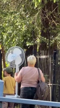 +35 ����� ������ � �����������