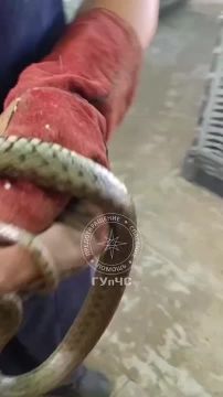�� ������� ������ ��������� ��������� ������� ������� ������ �� ����� ���������� �� ����