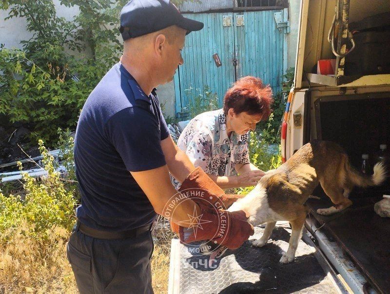 Рыбницкие спасатели помогли бездомному псу