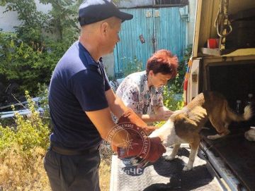 Рыбницкие спасатели помогли Борису