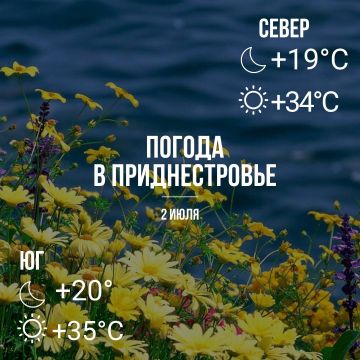 ���� ���������� ����������, ��� �������, �� +35