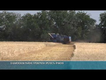 В Каменском районе начали уборку первых гектаров ячменя