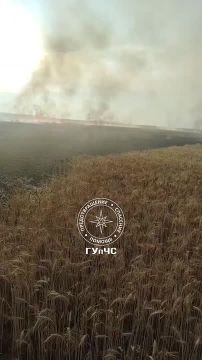 �� �������� ����� �������� ���������� 5 ��� �������� �� ���������� ���������� ����� �����