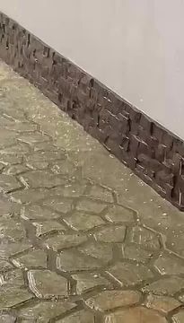 ���� ����� � ������. ��������� � ��������