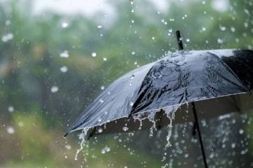 � ������������� ��������� ��������� ��������������